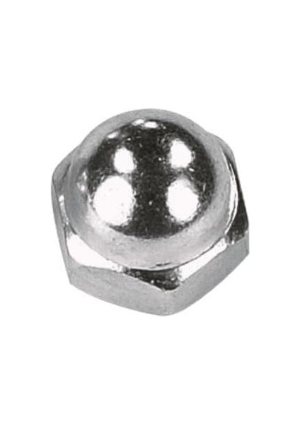 M6 DIN1587 Kör Somun Çelik Beyaz 5 Li Paket