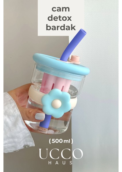 500ML Papatya Desenli Pipetli Cam Detox Termos Matara Bardak - Süt, Su, Meşrubat, Limonata Bardağı
