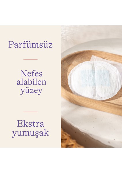Blue Lock Göğüs Pedi 60 Adet fırsatları