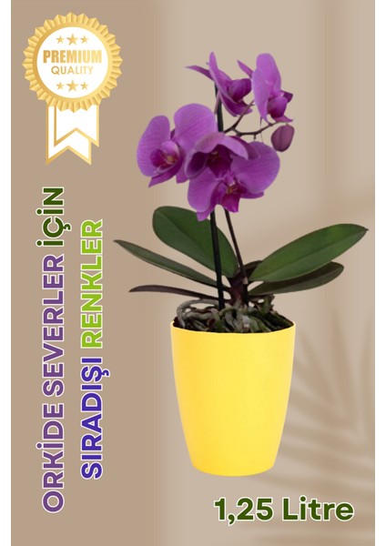 Dekoratif Orkide Dış Saksısı Sarı – Hava Alan ve Zarif Tasarımlı Saksı Iç Mekan Kullanımına Uygun fiyatları
