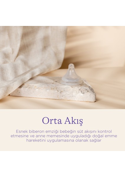 NaturalWave® 2'li Biberon Emziği Orta Akışlı modelleri