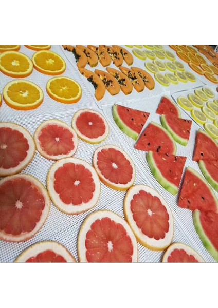 Gıda Kurumunu Kurtayı, 10 Adet 29X37CM, Silikon Tabakalar, Meyve Kurutucu Paspaslar, Silikon Kurutucu Tabakaları (Yurt Dışından) fiyatları