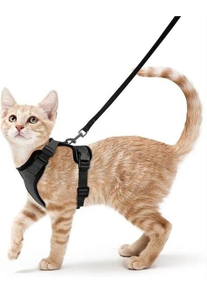 Evcil Hayvan Malzemeleri Kediler ve Kediler Nefes Alabilen Göğüs Kayışı Yansıtıcı Anti-Kopma Kedi Yürüyüş Tasma Küçük Köpek Göğüs Kayışı (Yurt Dışından)