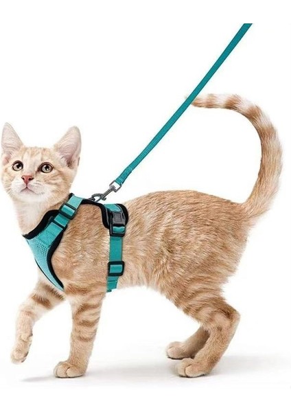 Evcil Hayvan Malzemeleri Kediler ve Kediler Nefes Alabilen Göğüs Kayışı Yansıtıcı Anti-Kopma Kedi Yürüyüş Tasma Küçük Köpek Göğüs Kayışı (Yurt Dışından)