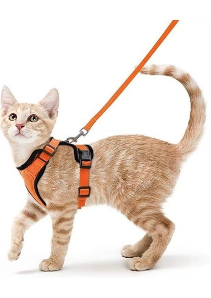 Evcil Hayvan Malzemeleri Kediler ve Kediler Nefes Alabilen Göğüs Kayışı Yansıtıcı Anti-Kopma Kedi Yürüyüş Tasma Küçük Köpek Göğüs Kayışı (Yurt Dışından)