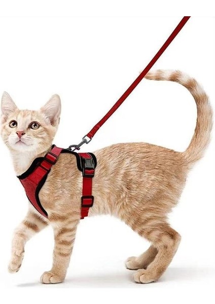 Evcil Hayvan Malzemeleri Kediler ve Kediler Nefes Alabilen Göğüs Kayışı Yansıtıcı Anti-Kopma Kedi Yürüyüş Tasma Küçük Köpek Göğüs Kayışı (Yurt Dışından)