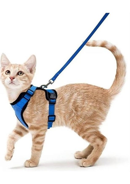 Evcil Hayvan Malzemeleri Kediler ve Kediler Nefes Alabilen Göğüs Kayışı Yansıtıcı Anti-Kopma Kedi Yürüyüş Tasma Küçük Köpek Göğüs Kayışı (Yurt Dışından)