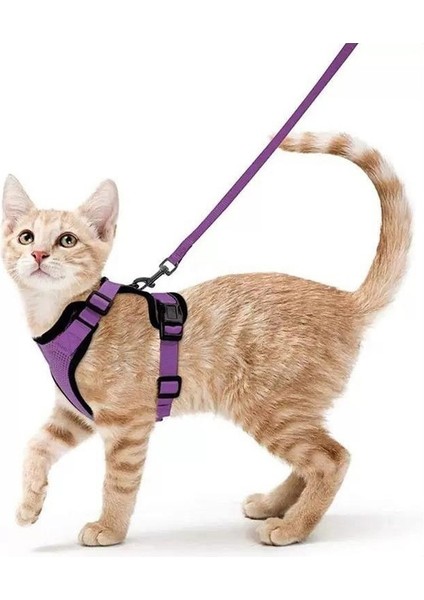 Evcil Hayvan Malzemeleri Kediler ve Kediler Nefes Alabilen Göğüs Kayışı Yansıtıcı Anti-Kopma Kedi Yürüyüş Tasma Küçük Köpek Göğüs Kayışı (Yurt Dışından)