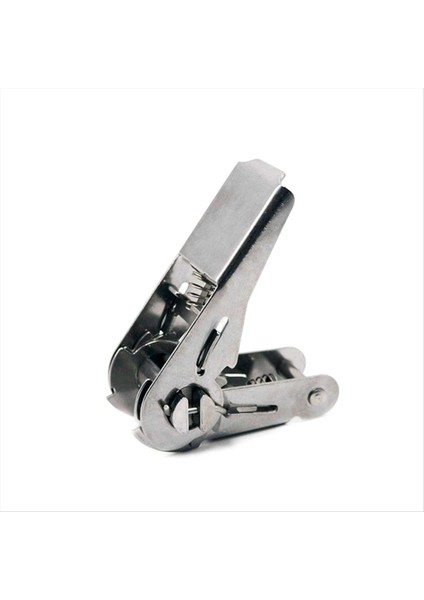 1 Inç Kırılma Kuvveti 0.8 Tonluk Tutturucu Gerginlik Cırcır Gerginliği Kargo Sıkıcı (Yurt Dışından)