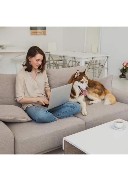 Sarkma Koltuğu Için Kanepe Yastık Desteği, 3pcs Kanepe Mobilya Koltuğu Yastık Sarkma Onarımı, Köpük Kanepe Yastık Desteği Beyaz (Yurt Dışından) indirimleri