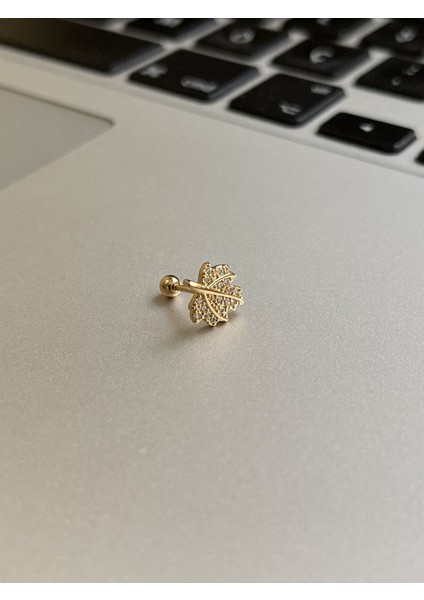 316 L Cerrahi Çelik Dudak Kıkırdak Helix Tragus Piercingi yaprak Detaylı Piercing