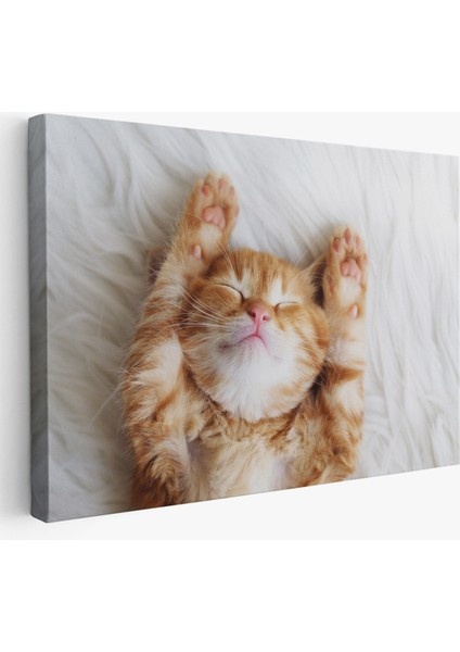 -Premier Kanvas Serileri- Yavru Kedi Dekoratif Kanvas Tablo 1125