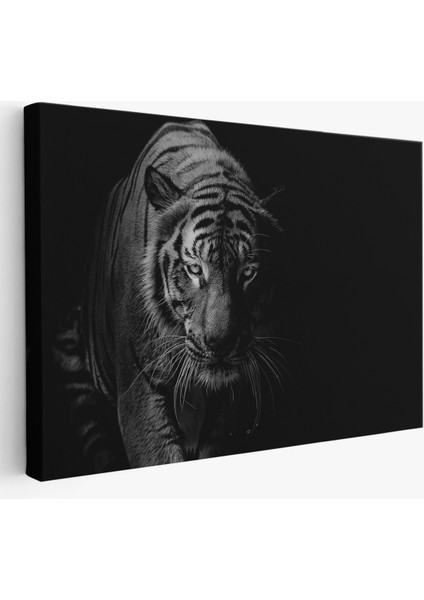 -Premier Kanvas Serileri- Kaplan Dekoratif Kanvas Tablo 1163