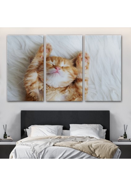 -Premier Kanvas Serileri- Yavru Kedi Dekoratif Kanvas Tablo 1125 modelleri