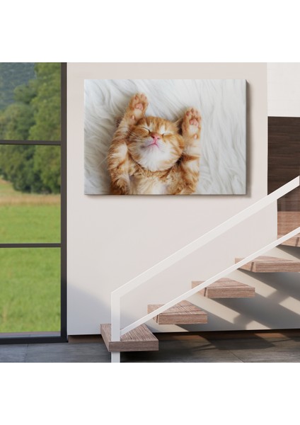 -Premier Kanvas Serileri- Yavru Kedi Dekoratif Kanvas Tablo 1125 indirimleri
