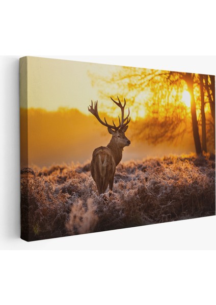 -Premier Kanvas Serileri- Geyik Gün Batımı Dekoratif Kanvas Tablo 1120 modelleri