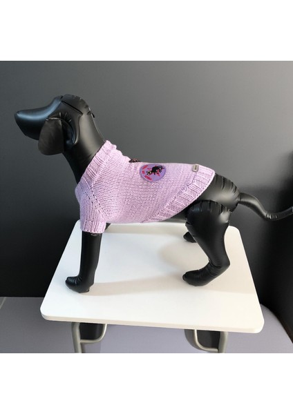 Kedi ve Köpek Için Eflatun Cadılar Bayramı Kazağı fırsatları