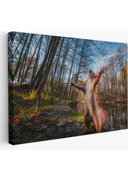 -Premier Kanvas Serileri- Sincap Dekoratif Kanvas Tablo 1178