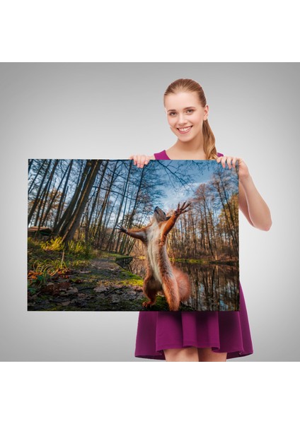 -Premier Kanvas Serileri- Sincap Dekoratif Kanvas Tablo 1178 fırsatları