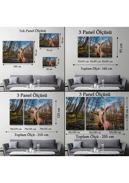 -Premier Kanvas Serileri- Sincap Dekoratif Kanvas Tablo 1178