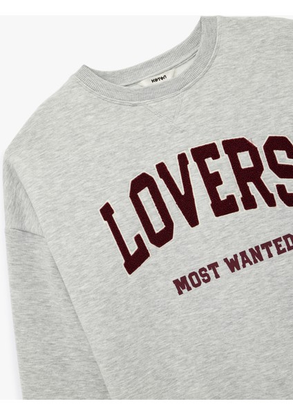 Uzun Kollu Bisiklet Yaka Peluş Aplike Detaylı Baskılı Sweatshirt indirimleri