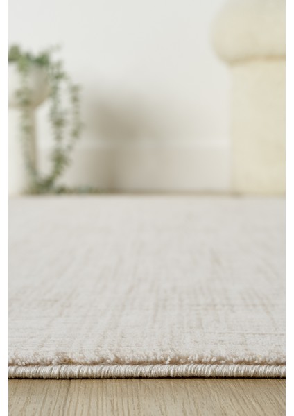 Diva Vizon Halı Akrilik Halı Yumuşak Dokulu Salon Oturma Odası Yatak Odası Halısı 0272 fırsatları