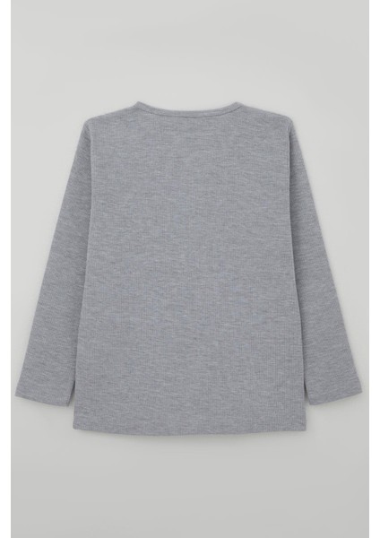 Erkek Çocuk Uzun Kollu Tişört Düğme Detaylı 4-8 Yaş, Açık Gri Melanj fiyatları