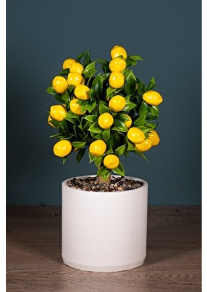Beyaz Beton Saksıda Gerçekçi Görünümlü Yapay Limon Ağacı 40 cm