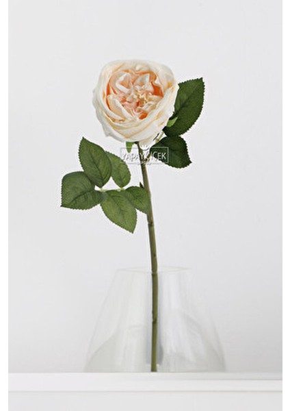 Yapay Lüx Islak Şakayık Somon-Krem Renkli Demet 45 cm Uzun Ömürlü fiyatları