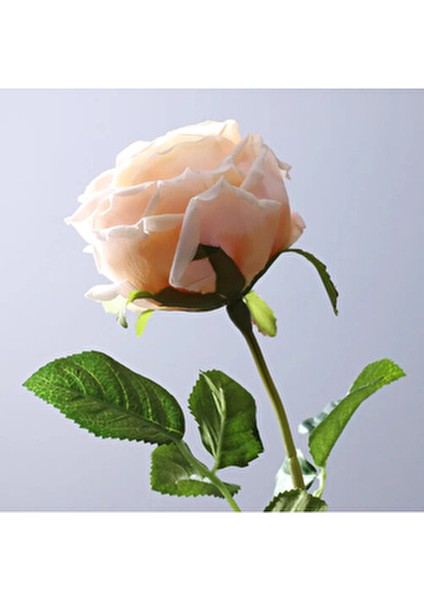 Yapay Lüx Islak Şakayık Somon-Krem Renkli Demet 45 cm Uzun Ömürlü fırsatları