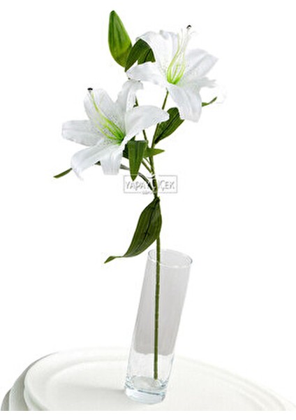 Uzun Dal Beyaz Kaliteli Yapay Lilyum Zambak Çiçeği 70 cm Estetik Görünüm modelleri