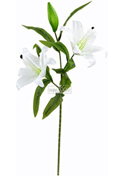 Uzun Dal Beyaz Kaliteli Yapay Lilyum Zambak Çiçeği 70 cm Estetik Görünüm fırsatları