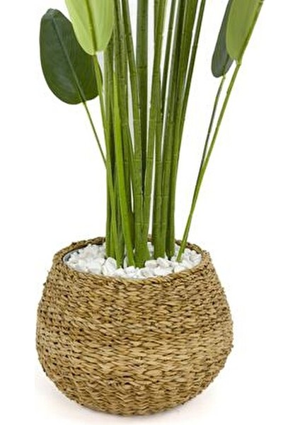 Starliçe Ağaç 200 cm Metal Destekli Yapraklar ile Doğal Görünümde Hasır Saksıda fırsatları