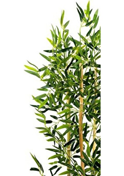 Dekoratif Bambu Ağacı 3 Gövde Yeşil Yapraklı 120 cm Modern Saksıda