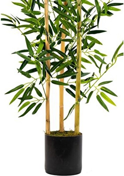 Dekoratif Bambu Ağacı 3 Gövde Yeşil Yapraklı 120 cm Modern Saksıda
