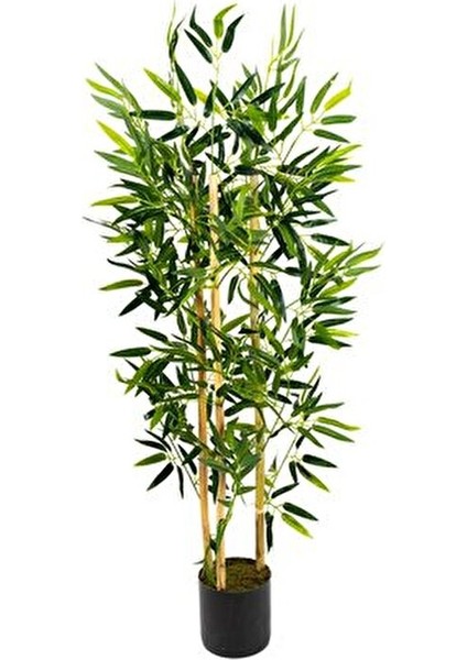 Dekoratif Bambu Ağacı 3 Gövde Yeşil Yapraklı 120 cm Modern Saksıda