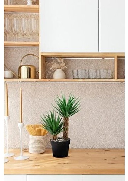 Mini Siyah Plastik Saksıda İki Dal Yapay Kaktüs Aloevera Gerçekçi Görünüm fırsatları