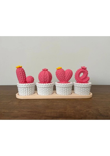 3D Baskı Love Yazılı Dekoratif Kaktüs Seti