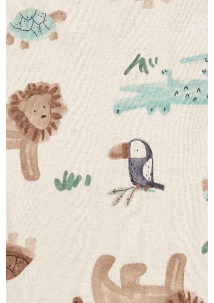 Erkek Bebek Kısa Kollu 5li Body fırsatları