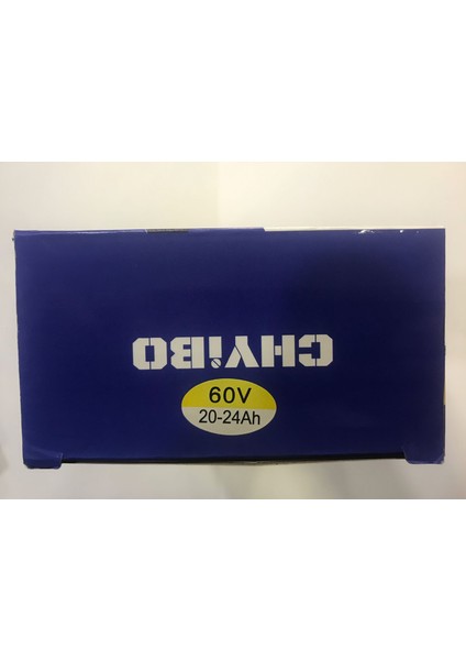 60V 20-24AH Şarj Aleti Tam Otomatik Devre Kesicili fiyatları