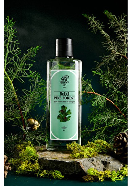 Pine Forest Kolonya Çam Kokulu 250 ml 80 Derece Dökme İki Li Set fırsatları