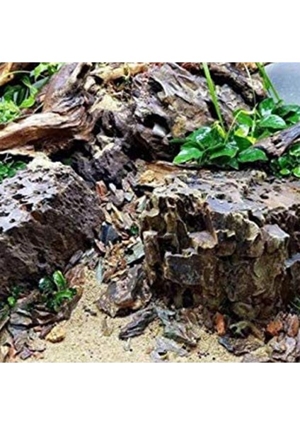 Büyük Doğal Dalgalı Ağal Dalları Sürüngenler Akvaryum Balık Tankı Dekorasyon Balık Tankı Mağara Saklanıyor Ahşap Dekor Driftwood (Yurt Dışından) fırsatları