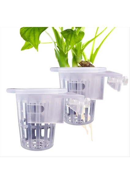 2 Adet Şeffaf Asılı Akvaryum Tesisi Tutucu Ayarlanabilir Balık Tankı Ekici Bardaklar Ekici Bardaklar Aquascapes Aksesuarları (Yurt Dışından)