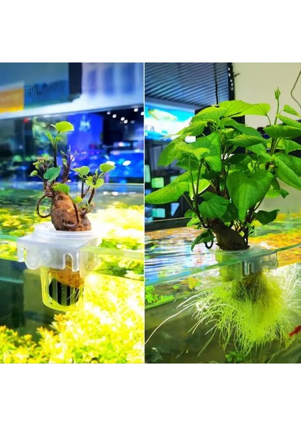 2 Adet Şeffaf Asılı Akvaryum Tesisi Tutucu Ayarlanabilir Balık Tankı Ekici Bardaklar Ekici Bardaklar Aquascapes Aksesuarları (Yurt Dışından) indirimleri