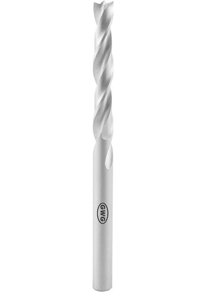 6X44X18MM Gwg Punta Çürütme Matkabı DIN1412E Hsse