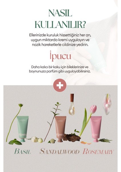 Shea Yağı İçeren Nemlendirici El Kremi A'PIEU Juicy Pang Perfume Hand Cream (Basil)