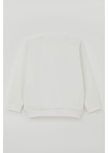 Erkek Bebek Eşofman Takımı Kulaklıklı Köpekçik Nakışlı 9 Ay-3 Yaş, Beyaz fırsatları