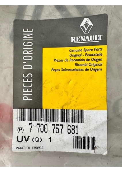 Enjeksiyon Beyin Bakaliti - Renault 25 modelleri