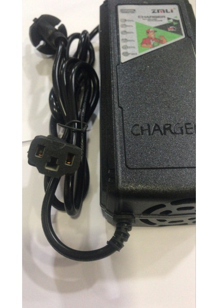 48V 20AH Şarj Aleti Tam Otomatik Devre Kesicili modelleri