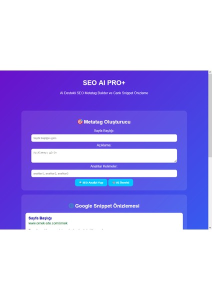 Seo Aı Pro+ V2